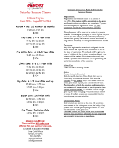 A program for the 2 0 1 4 summer camp.