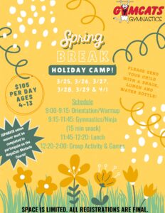 A poster with the words spring break holiday camp.